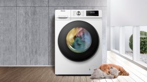 Hund und Katze schmusen neben laufender Waschmaschine